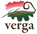verga